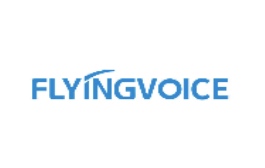 FlyingVoice    |  China